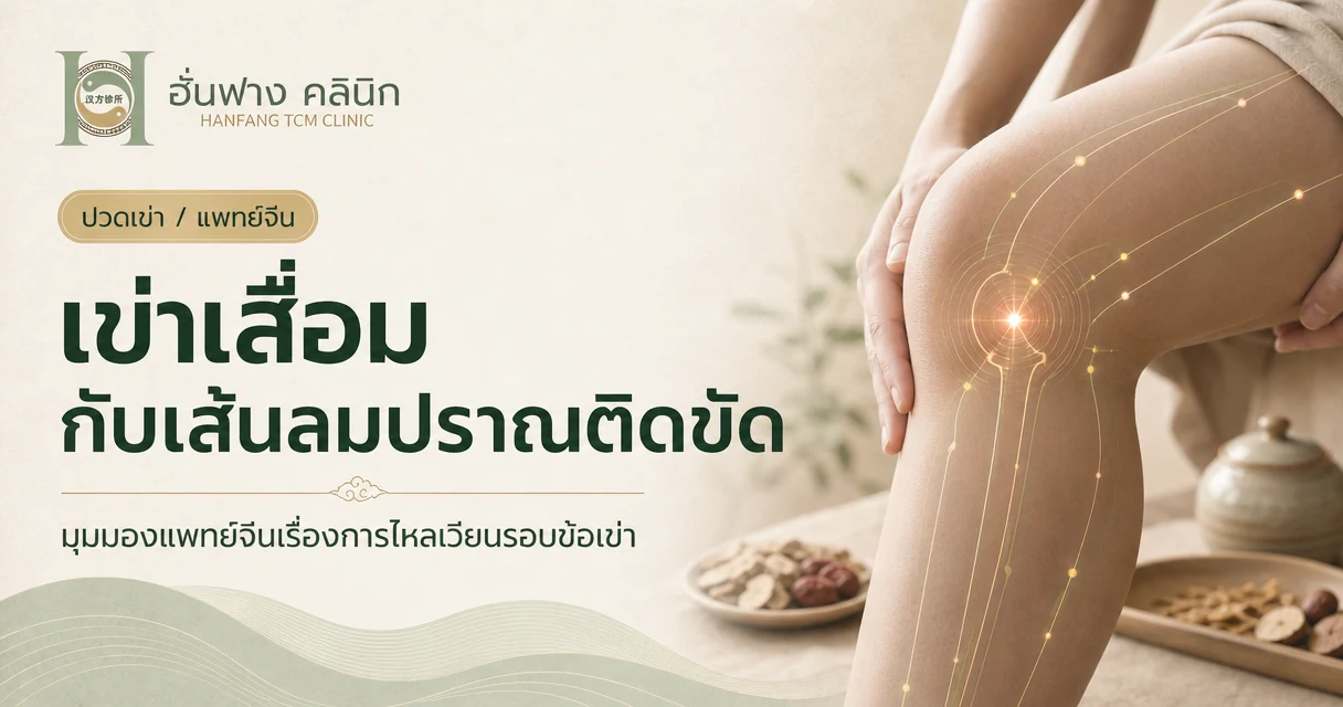 เข่าเสื่อม ปวดเข่า แพทย์จีนดูแลอย่างไร? ฝังเข็มช่วยแบบไหนได้บ้าง