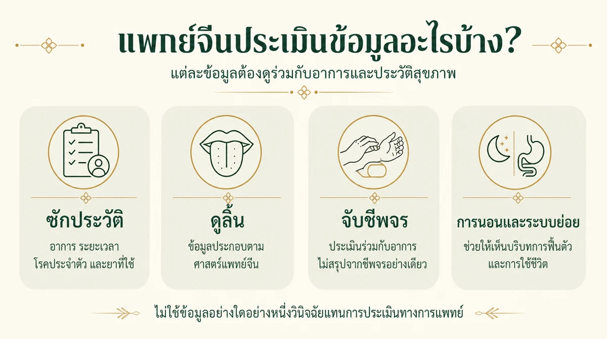 อินโฟกราฟิกข้อมูลที่แพทย์จีนใช้ประกอบการประเมิน ได้แก่ การซักประวัติ ลิ้น ชีพจร การนอน และระบบย่อย