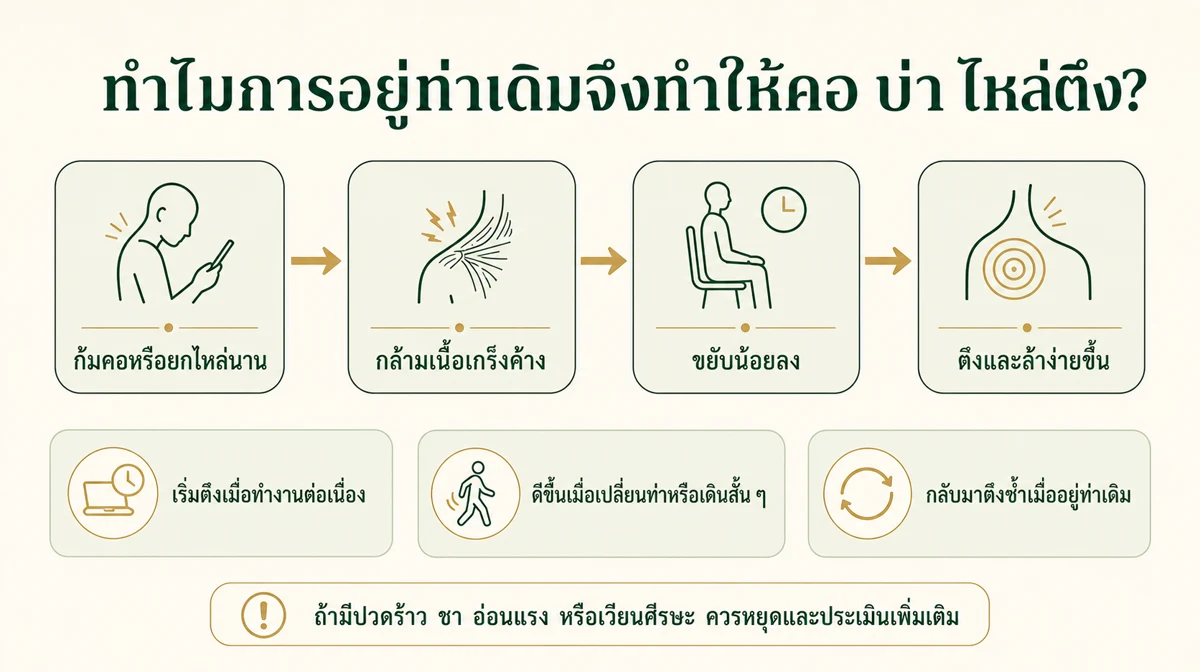 อินโฟกราฟิกอธิบายการอยู่ท่าเดิม กล้ามเนื้อเกร็งค้าง และอาการคอ บ่า ไหล่ตึง