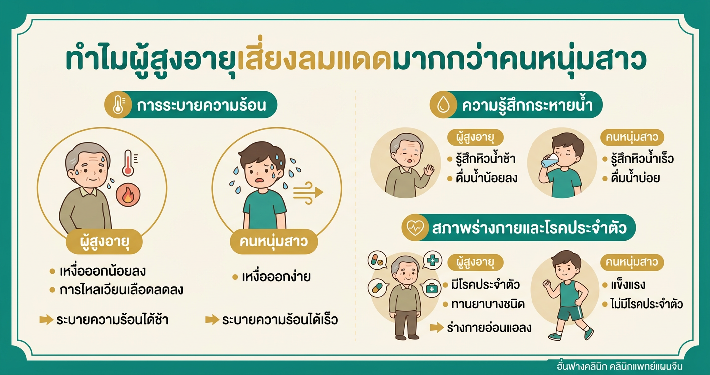 ทำไมผู้สูงอายุเสี่ยงลมแดดมากกว่าคนหนุ่มสาว?