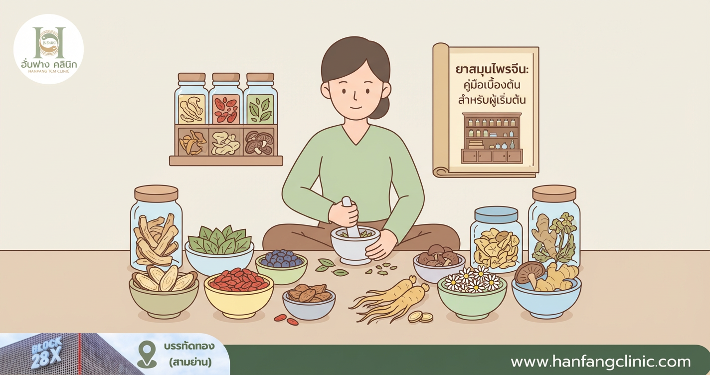 ยาสมุนไพรจีน: คู่มือเบื้องต้นสำหรับผู้เริ่มต้น