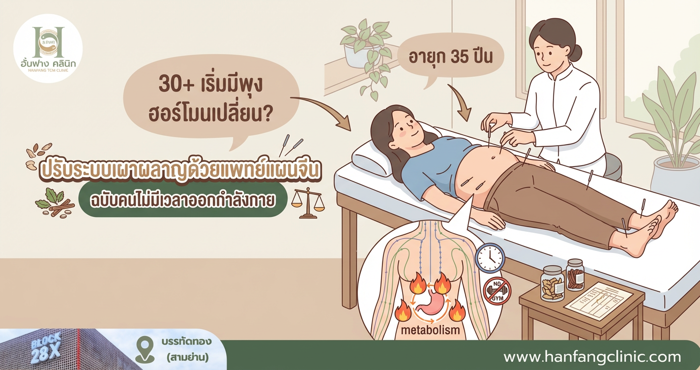 30+ เริ่มมีพุง ฮอร์โมนเปลี่ยน? ปรับระบบเผาผลาญด้วยแพทย์แผนจีน ฉบับคนไม่มีเวลาออกกำลังกาย