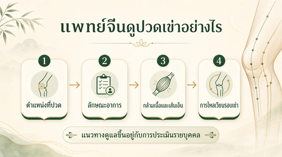 อินโฟกราฟิกแพทย์จีนดูปวดเข่าอย่างไร โดยประเมินตำแหน่งที่ปวด ลักษณะอาการ กล้ามเนื้อและเส้นเอ็น และการไหลเวียนรอบเข่า