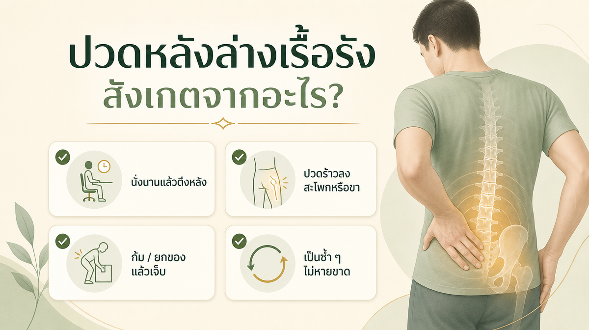 อินโฟกราฟิกสังเกตอาการปวดหลังล่างเรื้อรัง